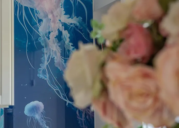 Meduza Nadmorskie Miejsce *