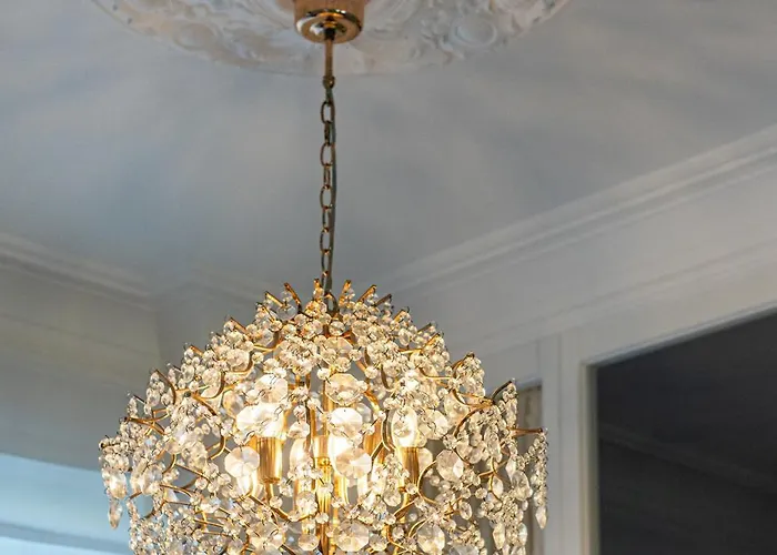 Meduza Nadmorskie Miejsce Gdynia